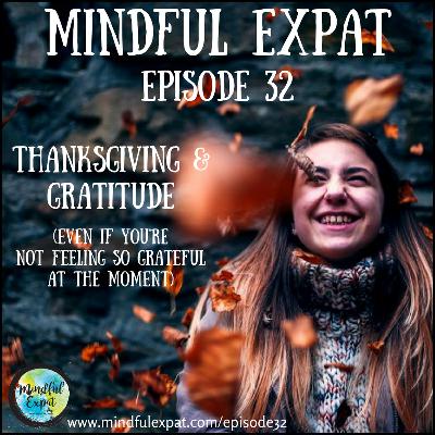 ME32: Thanksgiving & Gratitude (Even If You’re Not Feeling So Grateful at the Moment)