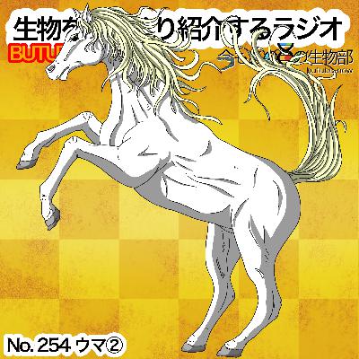 第54話−B:🌅「ウマ②」をざっくり紹介 第54話−B:🌅「ウマ②」をざっくり紹介