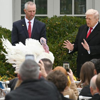 Pardoner-in-chief