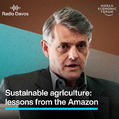 Sustainable agriculture: lessons from the Brazilian Amazon Sustainable agriculture: lessons from the Brazilian Amazon