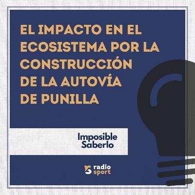 El impacto en el ecosistema por la construcción de la Autovía de Punilla - IMPOSIBLE SABERLO
