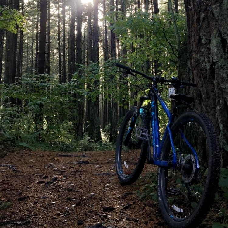 PNW Mountain Biking