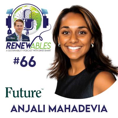 RENEWables #66: The Future of Green Spending RENEWables #66: The Future of Green Spending