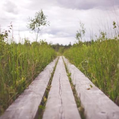 Walking On God's Straight & Narrow Path! Walking On God's Straight & Narrow Path!