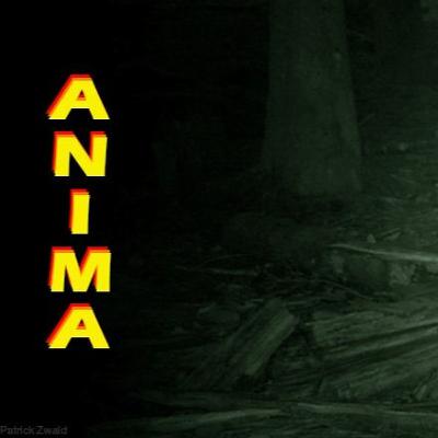 #1- Arthur, "éleveur" et antispéciste. #1- Arthur, "éleveur" et antispéciste.