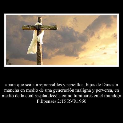 Servidores Servidores