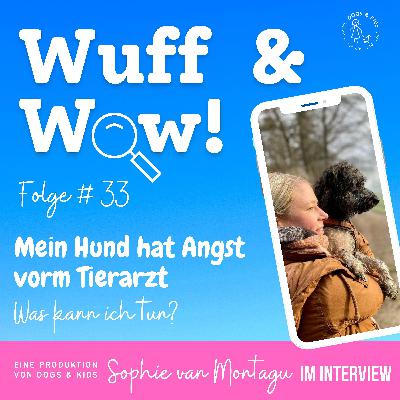 #33 Mein Hund hat Angst vorm Tierarzt. Was kann ich tun?                  Sophie van Montagu im Interview