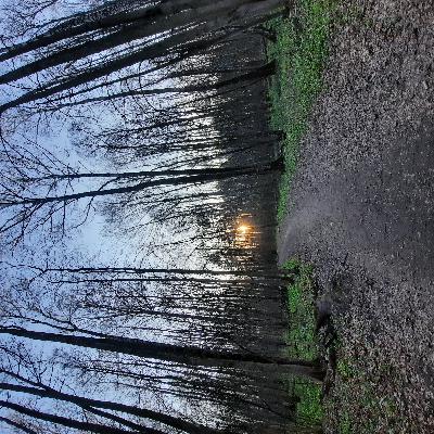 ЗВУКИ ПРИРОДЫ