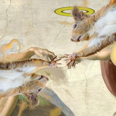 Squirrel Piss Heaven