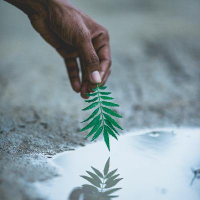 Finding meaning during challenging times with Sue Phillips - Wellness Wheel Podcast Finding meaning during challenging times with Sue Phillips - Wellness Wheel Podcast