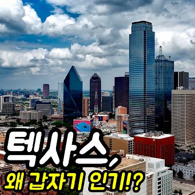 텍사스주 : 왜 요즘 제일 인기일까?