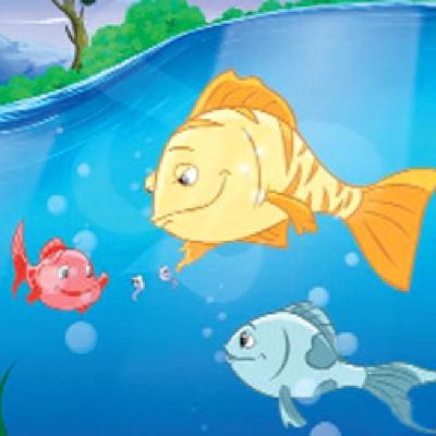 The Curious Little Fish 🐠
