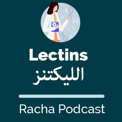#2 What are lectins ?