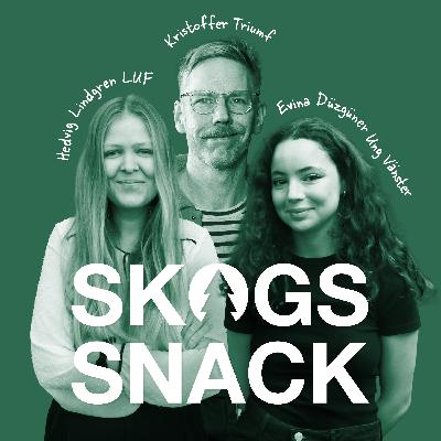 LUF + Ung Vänster: "Innovation i trä är en bra idé"