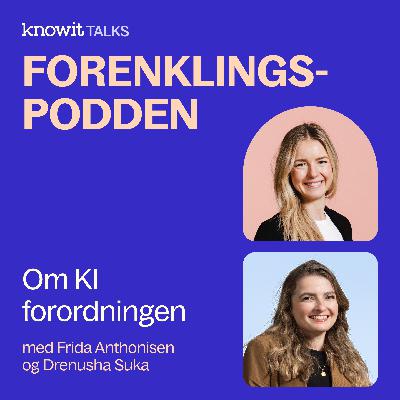 KI forordningen #1: Drenusha Suka og Frida Anthonisen - hva bør man gjøre nå?