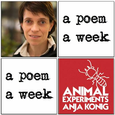 Ep.98 - 'Sometimes Someone' by Anja Konig Ep.98 - 'Sometimes Someone' by Anja Konig