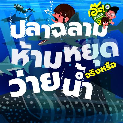 เอ๊ะ! ยังไงนะ SS2 EP 51 - ปลาฉลามห้ามหยุดว่ายน้ำ