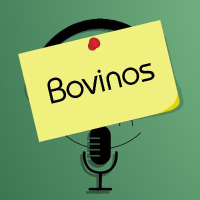 Memorando 3: Bovinos Memorando 3: Bovinos
