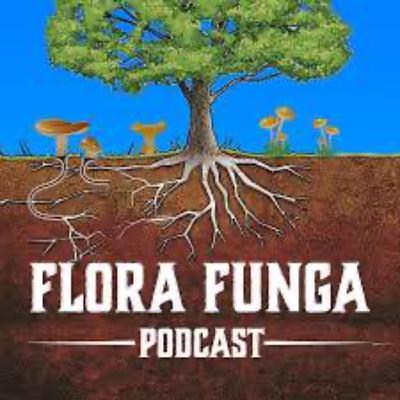 Magic Lichens & More with KK from Flora Funga Magic Lichens & More with KK from Flora Funga