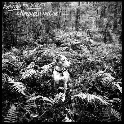 Kristie & Harper Lee @HarperLeeTheCur