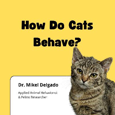 How Do Cats Behave? How Do Cats Behave?