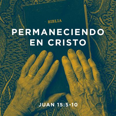 Permaneciendo en Cristo