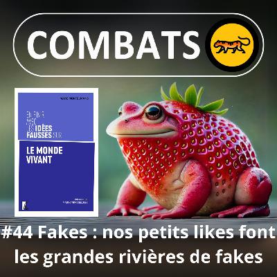 S04E44 Idées fausses : Les ravages des fakes que TOI et MOI partageons mollement et bêtement
