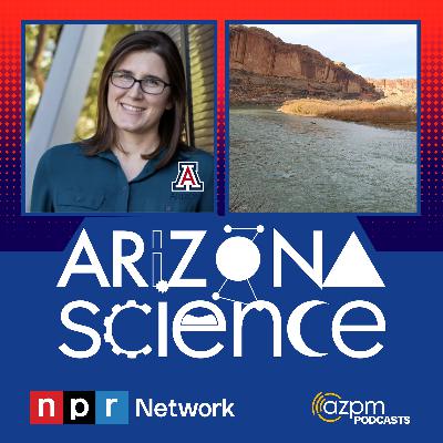 Looking at hard choices for water use in Arizona