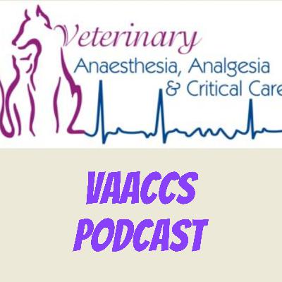 Episode 3 Which patients should we anaesthetise?