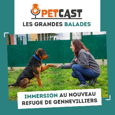 Immersion au cœur du nouveau refuge de la SPA de Gennevilliers