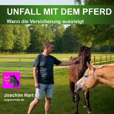 Ohne Schutz - Die Pferdefüße der Versicherungen