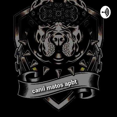 Uso da focinheira minha opinião Uso da focinheira minha opinião