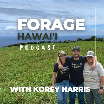From Novice to Full-Time Farmer: Korey Harris of Simple Roots Farm in Maui From Novice to Full-Time Farmer: Korey Harris of Simple Roots Farm in Maui