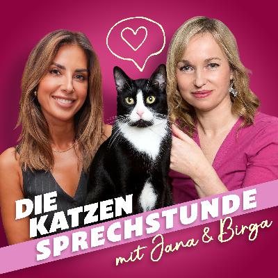 Gefahr in der Nachbarschaft: Wenn Katzenhasser zur Bedrohung werden Gefahr in der Nachbarschaft: Wenn Katzenhasser zur Bedrohung werden