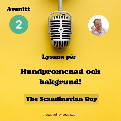 Hundpromenad och bakgrund!