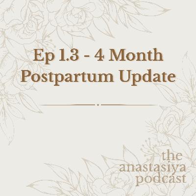 Ep 1.3 - 4 Month Postpartum Update