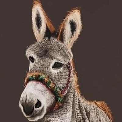 Nasrudin e o Burro por um Dinar