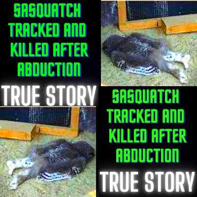 Sasquatch Tracked and Killed after Abduction TRUE STORY