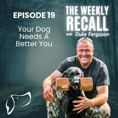#19 Your Dog Needs a Better You #19 Your Dog Needs a Better You