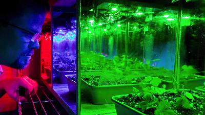 #188 – Plant Whispering and Random DNA with Prof Kevin Folta