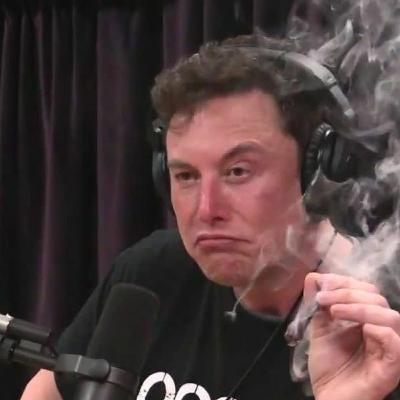 NBD: 100 Elon Tears