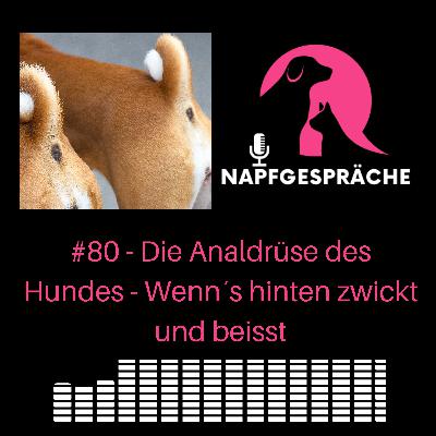 #80 -  Wenn´s hinten kneift - Die Wahrheit über die Analdrüse