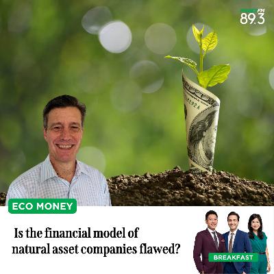 Eco Money: Is the financial model of natural asset companies flawed?