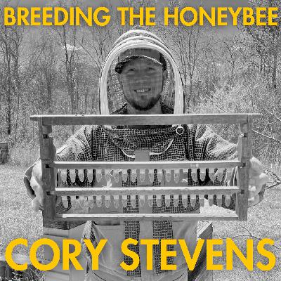 27) Cory Stevens (US)