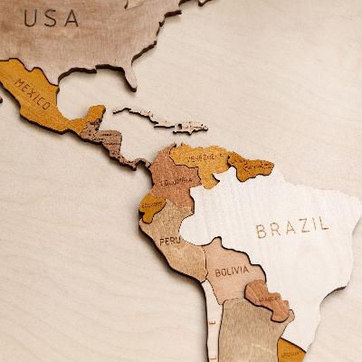 Reflections on DOGE and the abandonment of the West, with Michael Kimmage Reflections on DOGE and the abandonment of the West, with Michael Kimmage