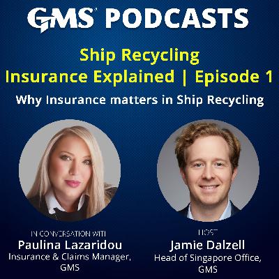 Ship Recycling Insurance Explained: Why Insurance Matters in the Final Voyage (Part 1)