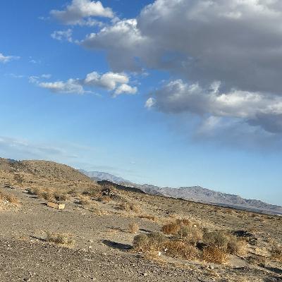 A life update from the middle of the desert 🌵