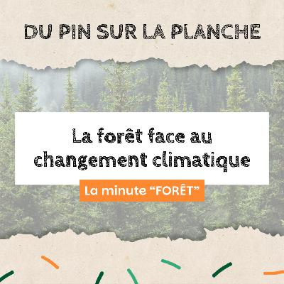 La forêt face au changement climatique - Minute Forêt La forêt face au changement climatique - Minute Forêt