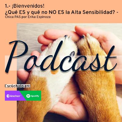 1.- ¡Bienvenidos! ¿Qué es y qué no es la Alta Sensibilidad? - Chica PAS por Erika Espinoza