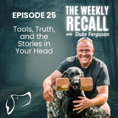 #25. False Beliefs, Real Confidence